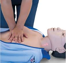 BLS Adult